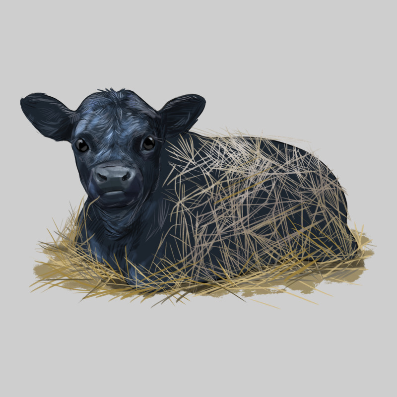 Black Angus Calf Illustrations Premium Tee by LillyAllenDesigns | Teevron