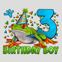 Birthday Boy Frog Age 3 Zipper Hoodie | Teevron
