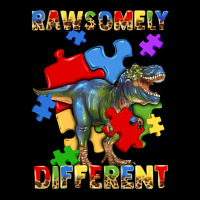 Rawsomely Different Autism T Rex Ladies Tee | Teevron