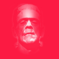 Frankenstein Monster Boris Karloff Face Zipper Hoodie | Teevron
