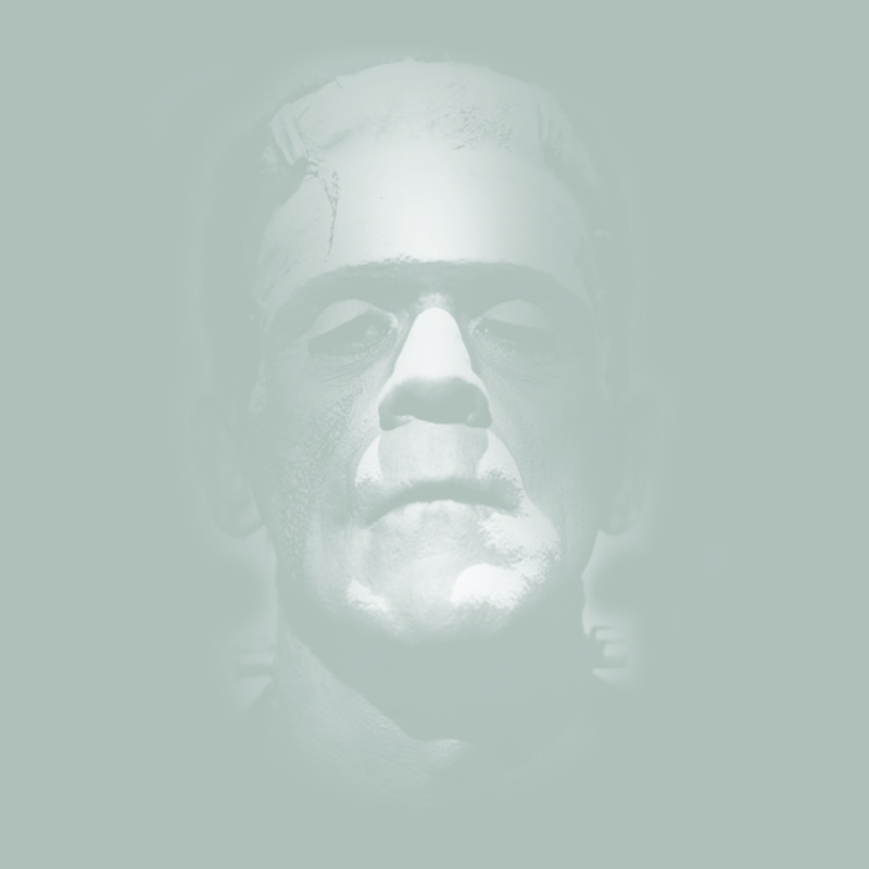 Frankenstein Monster Boris Karloff Face Heavyweight Hoodie by lanVoArt | Teevron