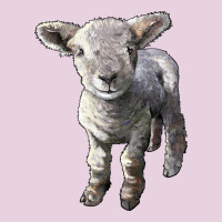Southdown Baby Sheep Ladies Tee | Teevron