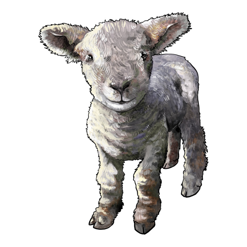 Southdown Baby Sheep Ladies Tee by LillyAllenDesigns | Teevron