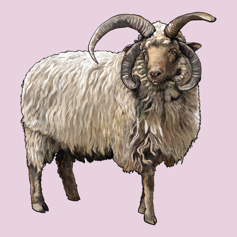 Navajo Churro Sheep Ladies Tee by LillyAllenDesigns | Teevron