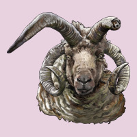 Navajo Churro Sheep Head Ladies Tee | Teevron