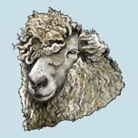 Lincoln Sheep Head Ladies Tee | Teevron