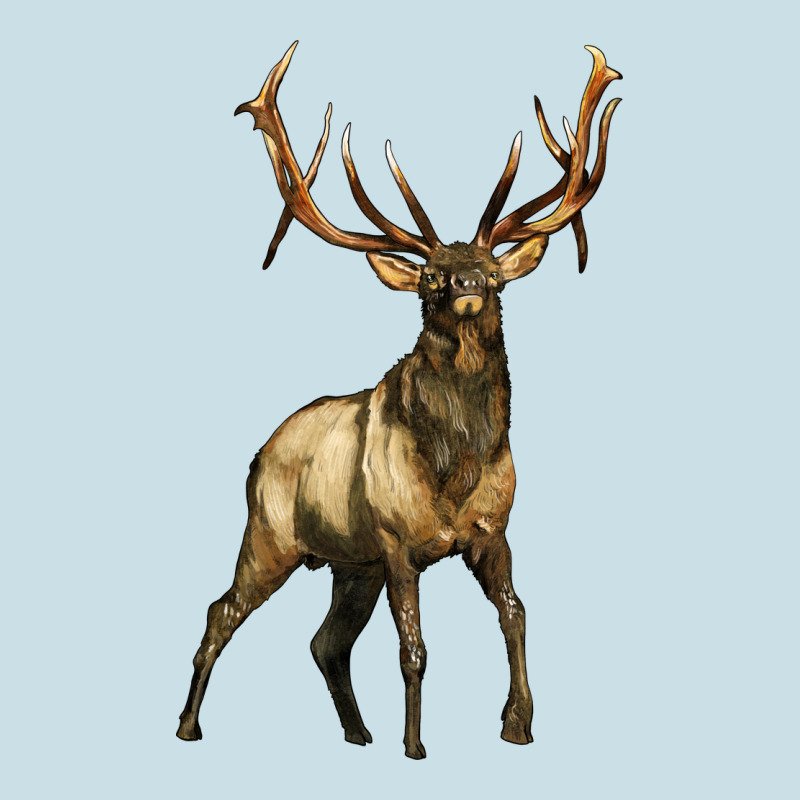 Elk Deer Ladies Tee by LillyAllenDesigns | Teevron