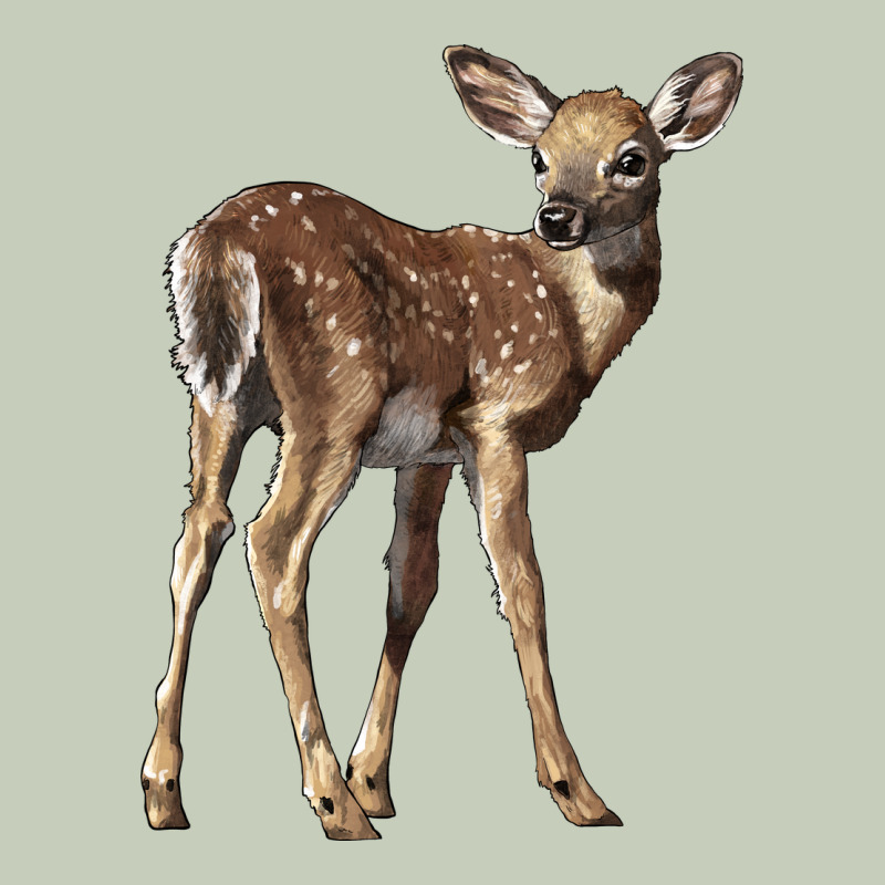 White Tailed Fawn Deer Ladies Tee by LillyAllenDesigns | Teevron