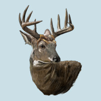 White Tailed Buck Deer Head Ladies Tee | Teevron
