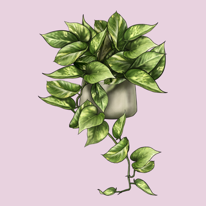 Golden Pothos Ladies Tee by LillyAllenDesigns | Teevron