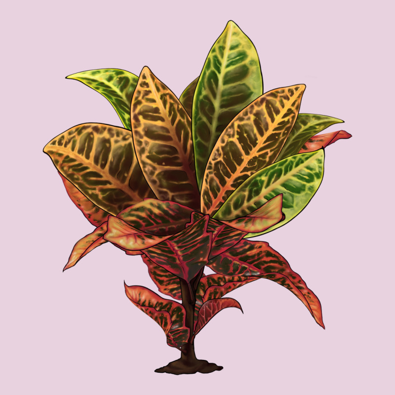 Croton Ladies Tee by LillyAllenDesigns | Teevron