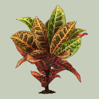 Croton Ladies Tee | Teevron