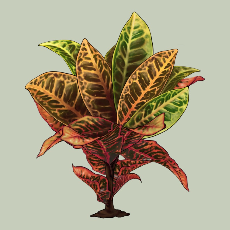 Croton Ladies Tee by LillyAllenDesigns | Teevron