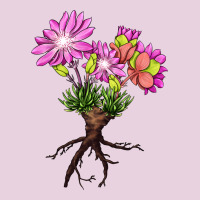 Bitterroot Flower Illustrations Ladies Tee | Teevron