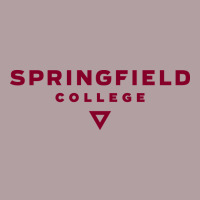 Springfield College Vintage Hoodie | Teevron