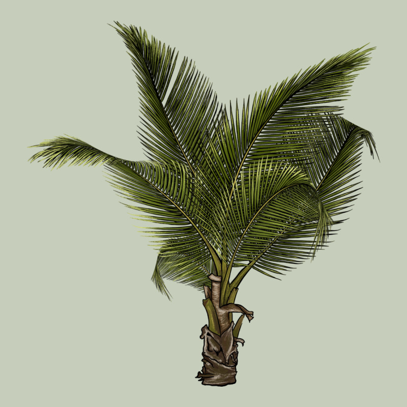 Palm Tree Ladies Tee by LillyAllenDesigns | Teevron
