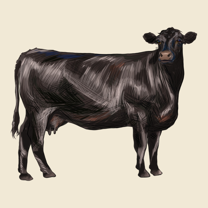 Black Angus Cow Ladies Tee by LillyAllenDesigns | Teevron