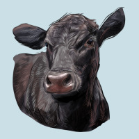 Black Angus Cow Illustrations Ladies Tee | Teevron
