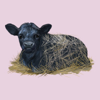 Black Angus Calf Illustrations Ladies Tee | Teevron