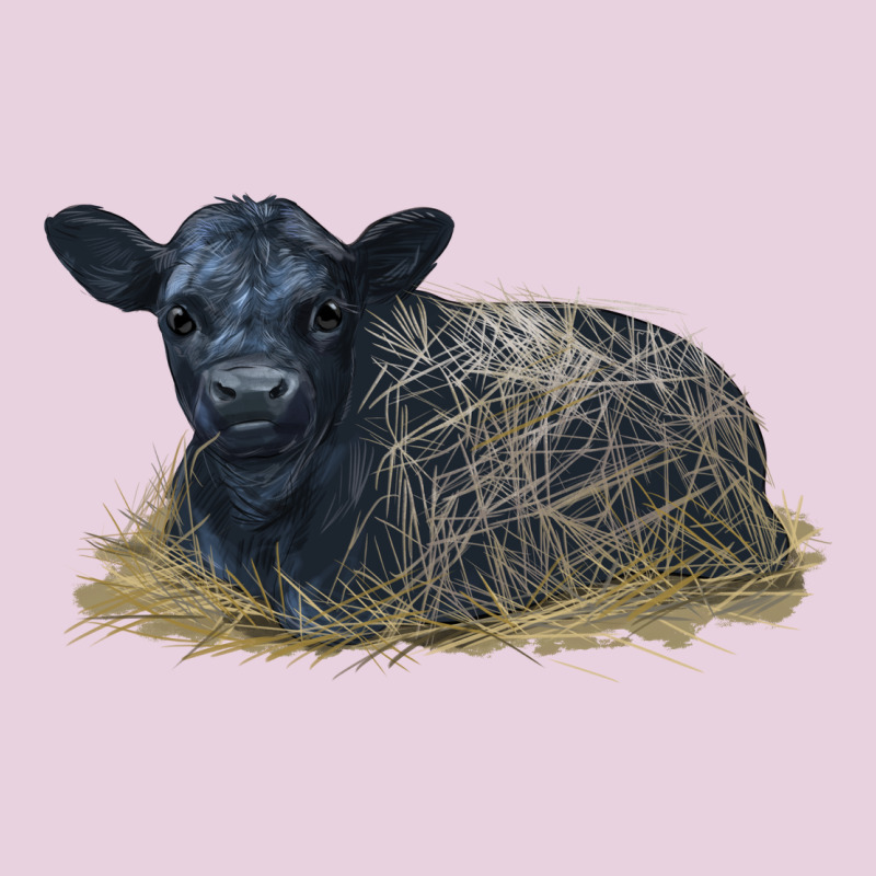 Black Angus Calf Illustrations Ladies Tee by LillyAllenDesigns | Teevron