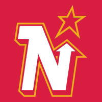 Vintage Minnesota Hockey   Retro North Stars Premium Hoodie | Teevron