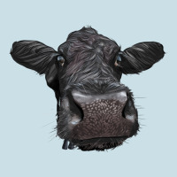 Black Angus Heifer Ladies Tee | Teevron