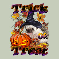 Halloween Hedgehog Trick Or Treat Ladies Tee | Teevron