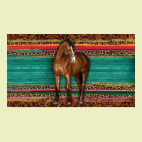 Western Horse Serape Tooled Leather Leopard  Sippy Cup Urban Hoodie | Teevron
