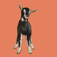 Hand Drawn Baby Alpine Goat Classic Tee | Teevron