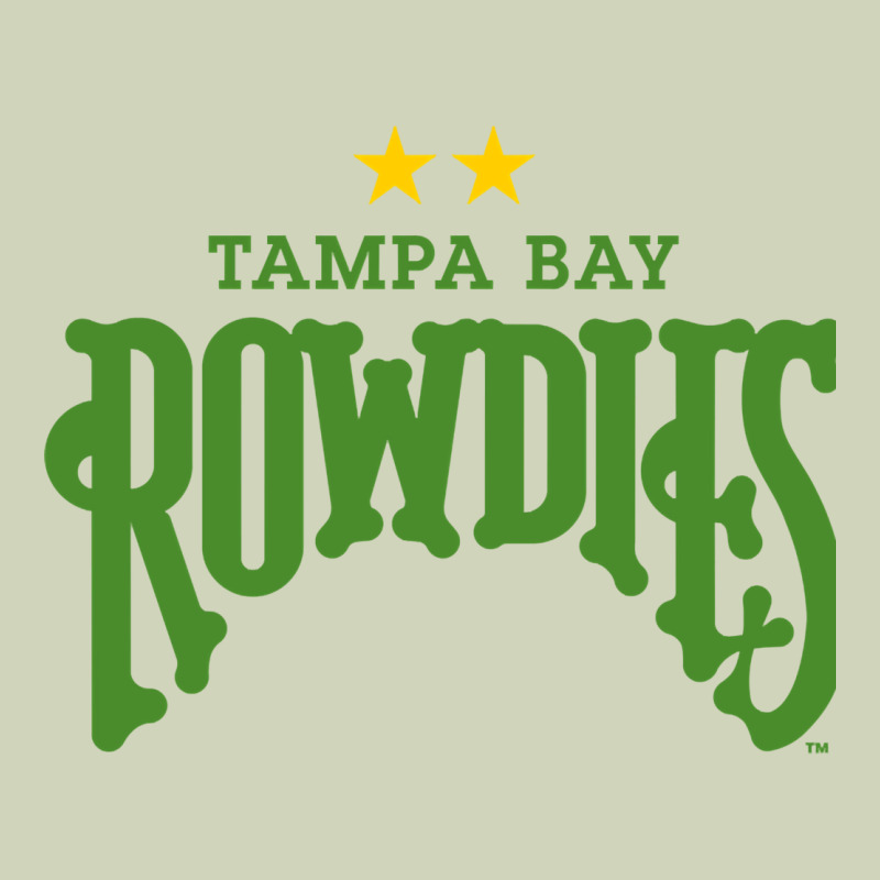 The Tampa Bay Rowdies Fitted Heavyweight Hoodie by lanVoArt | Teevron