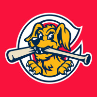 The Charleston Riverdogs Classic Tee | Teevron
