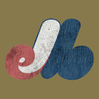 Montreal Expos Premium Hoodie | Teevron