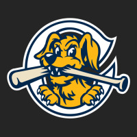 The Charleston Riverdogs Premium Hoodie | Teevron