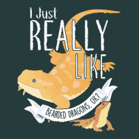 Bearded Dragons I Just Really Like Bearded Dragons Premium Hoodie | Teevron
