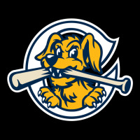 The Charleston Riverdogs Urban Heavy Tee | Teevron