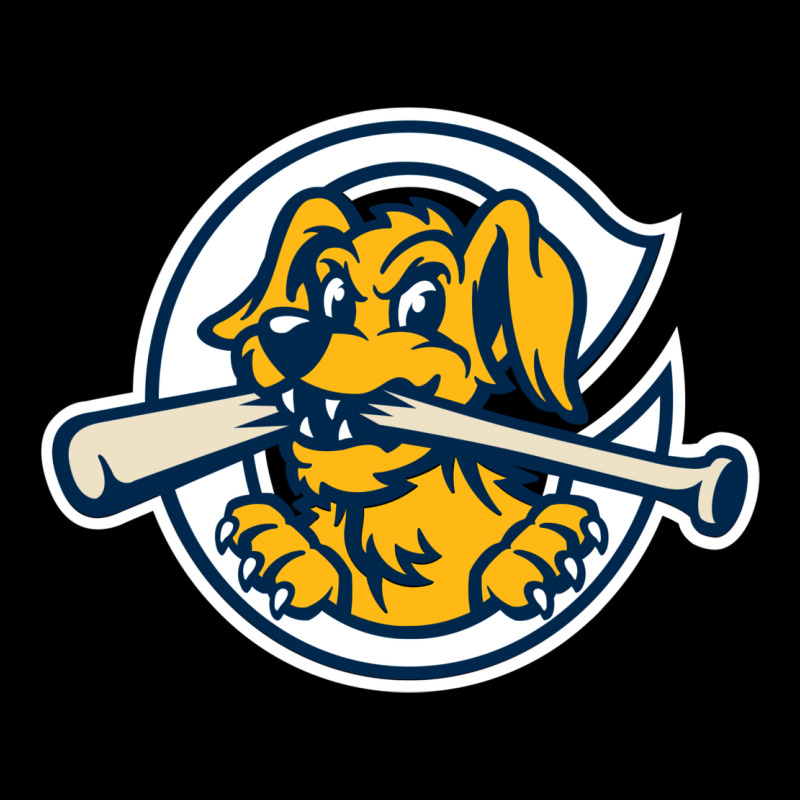 The Charleston Riverdogs Urban Heavy Tee by lanVoArt | Teevron