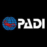 Padi Heavy Core Tee | Teevron