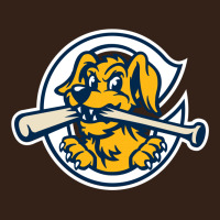 The Charleston Riverdogs Heavy Core Tee | Teevron