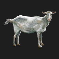 Saanen Goat Classic Tee | Teevron