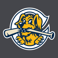The Charleston Riverdogs Long Sleeve Tee | Teevron