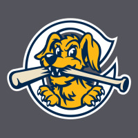The Charleston Riverdogs Vintage Hoodie | Teevron