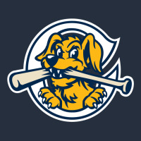 The Charleston Riverdogs Zipper Hoodie | Teevron