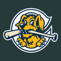 The Charleston Riverdogs Premium Sweatshirt | Teevron