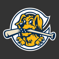 the charleston riverdogs | Teevron