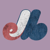 Montreal Expos Heavyweight Hoodie | Teevron
