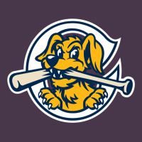 The Charleston Riverdogs Heavyweight Hoodie | Teevron