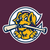 The Charleston Riverdogs Urban Hoodie | Teevron