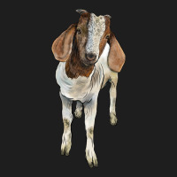 Boer Goat Classic Tee | Teevron