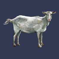 Saanen Goat Heavyweight Hoodie | Teevron