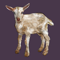 Baby Saanen Goat Heavyweight Hoodie | Teevron